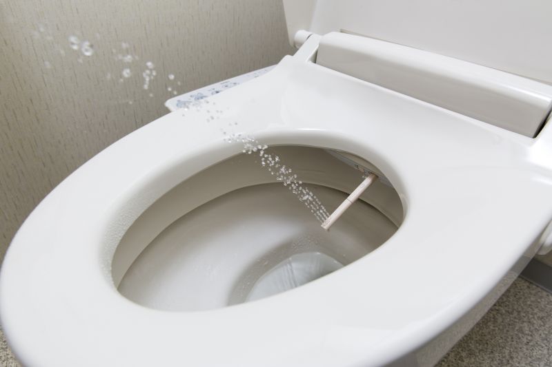 Bidet Repair Service