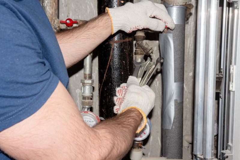 Professional Plumbing Inspection
